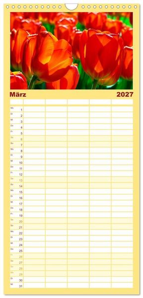 Produktbild: Familienplaner 2027 - Alles in Rot mit 5 Spalten (Wandkalender, 21 x 45 cm) CALVENDO