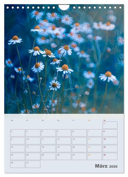 Produktbild: Magie im Garten (Wandkalender 2026 DIN A4 hoch), CALVENDO Monatskalender