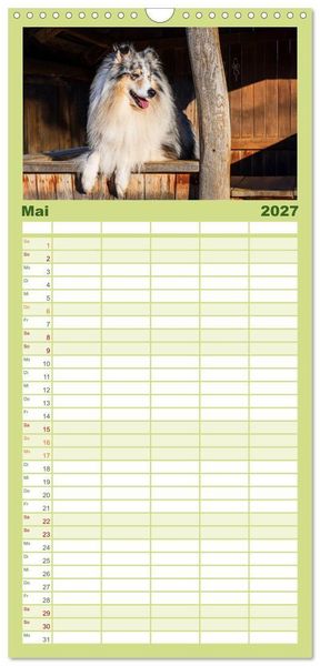 Produktbild: Familienplaner 2027 - Traumhund Collie - Mein bester Freund mit 5 Spalten (Wandkalender, 21 x 45 cm) CALVENDO