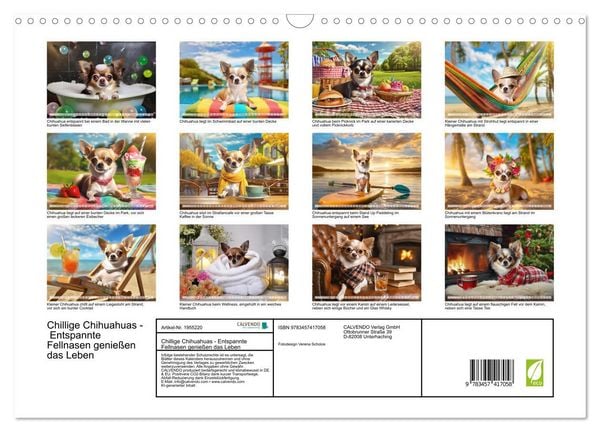 Produktbild: Chillige Chihuahuas - Entspannte Fellnasen genie&szlig;en das Leben (Wandkalender 2026 DIN A3 quer), CALVENDO Monatskalender