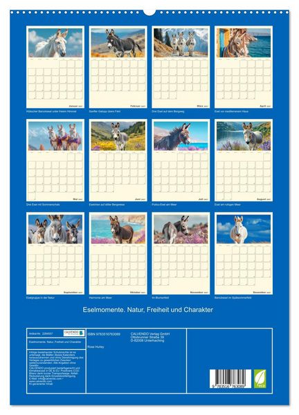 Produktbild: Eselmomente. Natur, Freiheit und Charakter (hochwertiger Premium Wandkalender 2027 DIN A2 hoch), Kunstdruck in Hochglanz