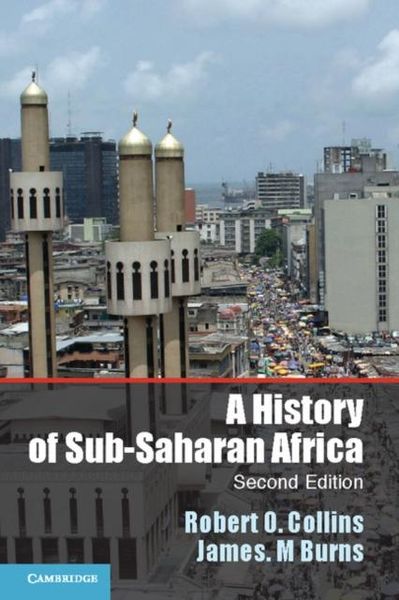 Produktbild: History of Sub-Saharan Africa