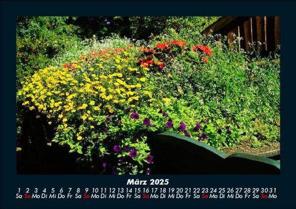 Produktbild: Blumentr&auml;ume 2025 Fotokalender DIN A5