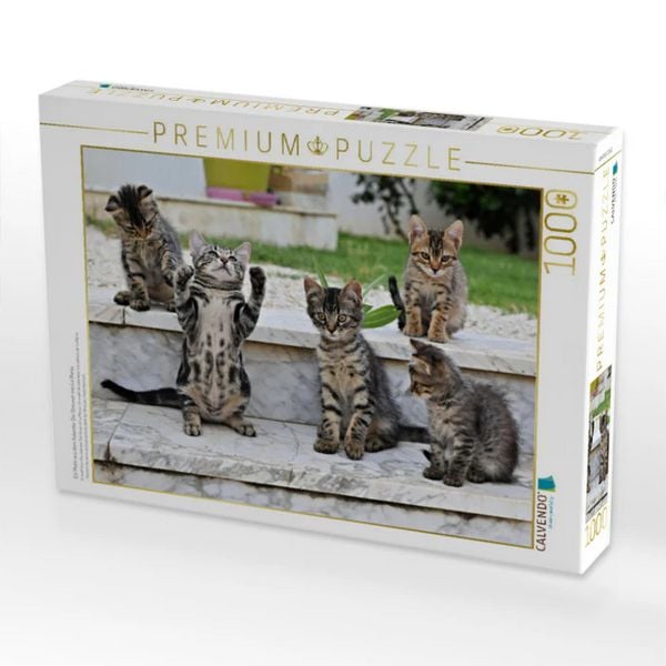 Produktbild: CALVENDO Puzzle Ein Motiv aus dem Kalender Die Streuner von La Marsa | 1000 Teile Lege-Gr&ouml;&szlig;e 64x48cm Foto-Puzzle f&uuml;r gl&uuml;ckliche Stunden