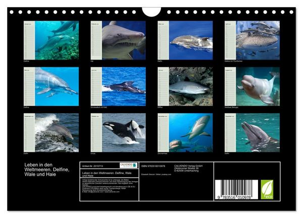 Produktbild: Leben in den Weltmeeren. Delfine, Wale und Haie (Wandkalender 2026 DIN A4 quer), CALVENDO Monatskalender