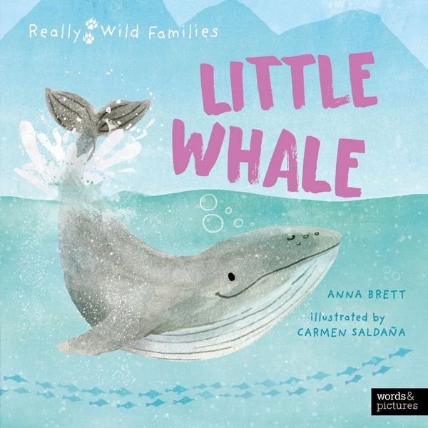 Produktbild: Little Whale