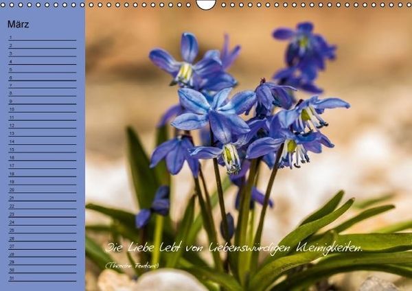 Produktbild: Blumengartenjahr - Geburtstagskalender mit sch&ouml;nen Zitaten (Wandkalender immerw&auml;hrend DIN A3 quer)