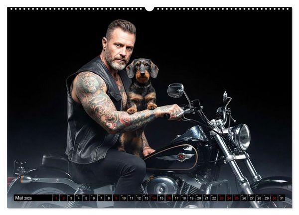 Produktbild: Coole Typen - Rauhaardackel (hochwertiger Premium Wandkalender 2026 DIN A2 quer), Kunstdruck in Hochglanz