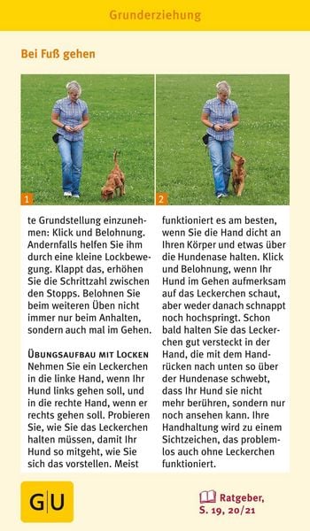 Produktbild: Hunde-Clicker-Box