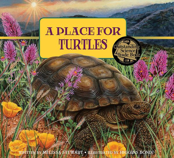 Produktbild: A Place for Turtles