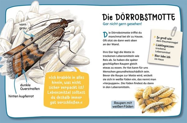 Mein erster Naturführer, Welche Tierspur ist das?