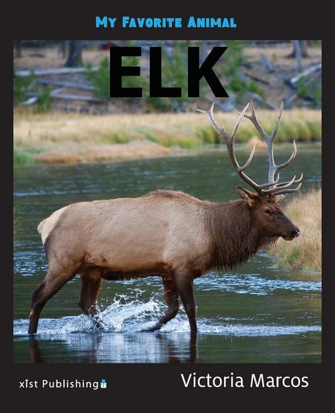 Produktbild: My Favorite Animal