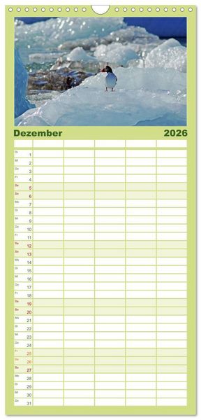 Produktbild: Familienplaner 2026 - Papageitaucher - Clowns der nordischen Vogelwelt mit 5 Spalten (Wandkalender, 21 x 45 cm) CALVENDO