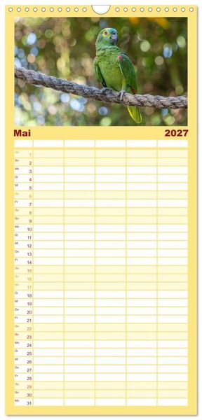 Produktbild: Familienplaner 2027 - Aras und bunte Sittiche: Exotische Papageien-Portr&auml;ts mit 5 Spalten (Wandkalender, 21 x 45 cm) CALVENDO