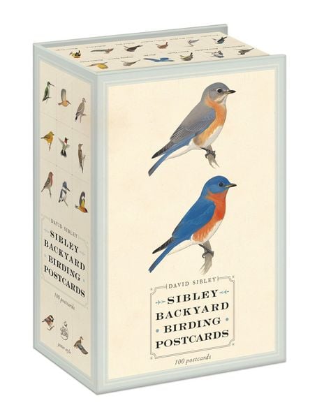 Produktbild: Sibley Backyard Birding Postcards