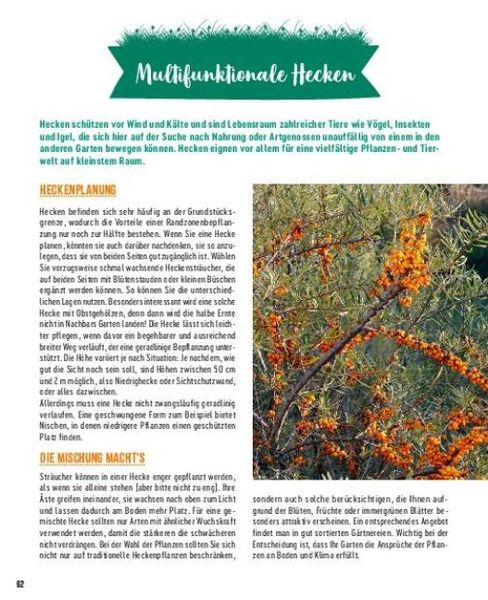 Die besten Pflanzen für die Permakultur: Gemüse, Stauden, Sträucher, Bäume