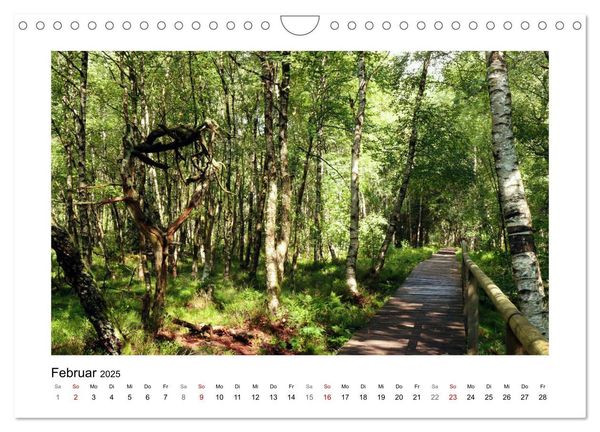 Rotes und Schwarzes Moor (Wandkalender 2025 DIN A4 quer), CALVENDO Monatskalender