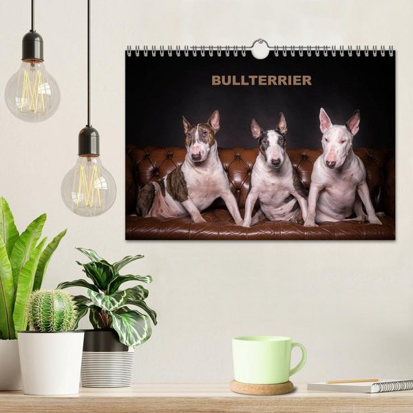 Produktbild: Bullterrier (Wandkalender 2026 DIN A4 quer), CALVENDO Monatskalender