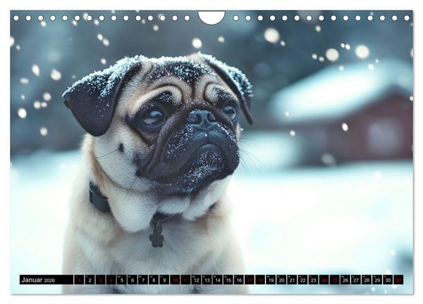 Produktbild: Kleine Helden - eine Hommage an die Mopsrasse (Wandkalender 2026 DIN A4 quer), CALVENDO Monatskalender