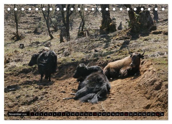 Produktbild: Druk Yul - Szenen aus Bhutan (Tischkalender 2026 DIN A5 quer), CALVENDO Monatskalender