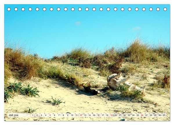 Produktbild: il Salento Kulturlandschaft zwischen zwei Meeren (Tischkalender 2026 DIN A5 quer), CALVENDO Monatskalender