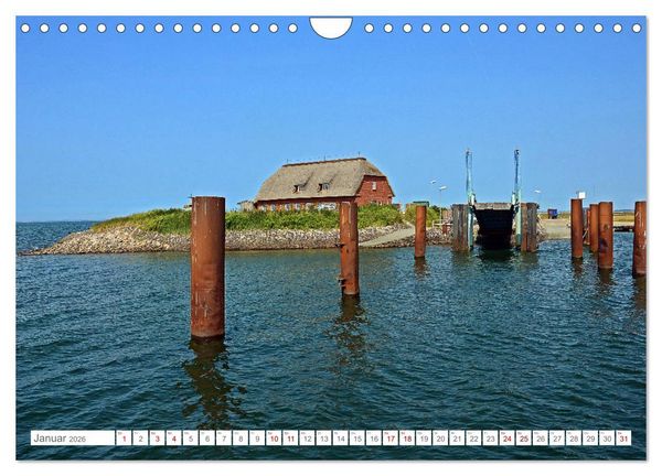 Produktbild: Sommertage auf Langeness (Wandkalender 2026 DIN A4 quer), CALVENDO Monatskalender