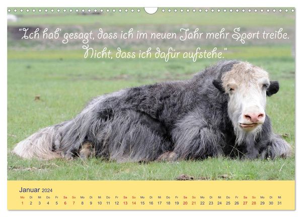 'Sind Tiere die weiseren Menschen? Tierisch witzige Sprüche