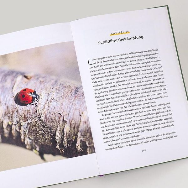 Produktbild: Bienenweide und Hummelparadies