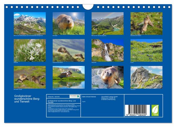 Produktbild: Gro&szlig;glockner wundersch&ouml;ne Berg- und Tierwelt (Wandkalender 2026 DIN A4 quer), CALVENDO Monatskalender