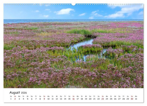Produktbild: Borkum: Streifz&uuml;ge &uuml;ber die Nordseeinsel (hochwertiger Premium Wandkalender 2026 DIN A2 quer), Kunstdruck in Hochglanz