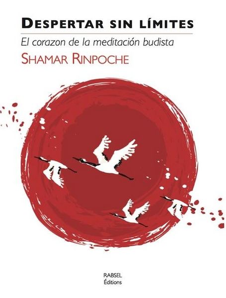 Produktbild: Despertar Sin Limites