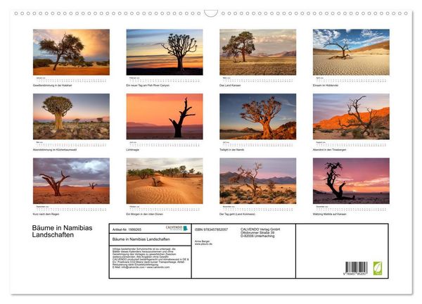 Produktbild: B&auml;ume in Namibias Landschaften (Wandkalender 2026 DIN A2 quer), CALVENDO Monatskalender