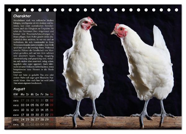 Produktbild: Von der Einzigartigkeit der H&uuml;hner 2026 (Tischkalender 2026 DIN A5 quer), CALVENDO Monatskalender