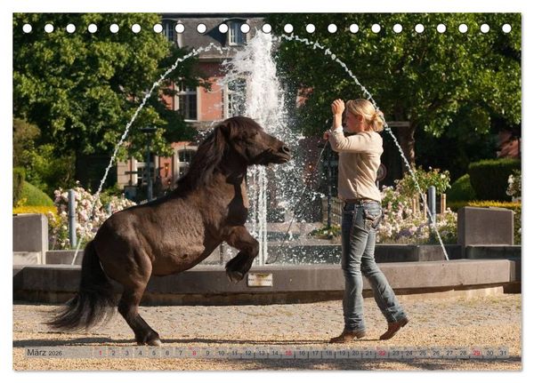 Produktbild: Natural Horsemanship - Partnerschaft mit Pferden (Tischkalender 2026 DIN A5 quer), CALVENDO Monatskalender