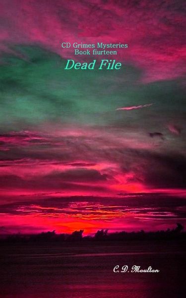 Produktbild: Dead File (CD Grimes PI, #14)
