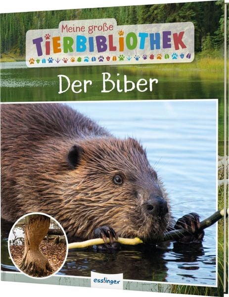 Produktbild: Meine gro&szlig;e Tierbibliothek: Der Biber