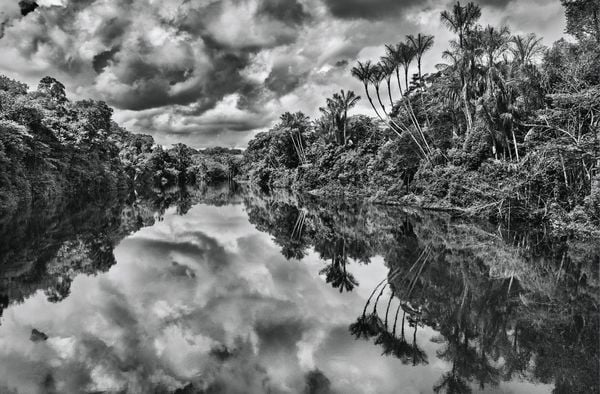 Produktbild: Amaz&ocirc;nia. Sebasti&atilde;o Salgado