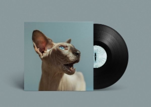 Golden Frames - Princess Thailand, Vinyl