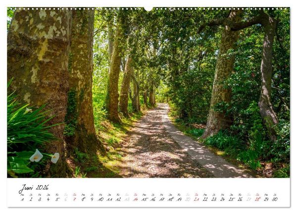 Produktbild: Madeira - ewiger Fr&uuml;hling (hochwertiger Premium Wandkalender 2026 DIN A2 quer), Kunstdruck in Hochglanz