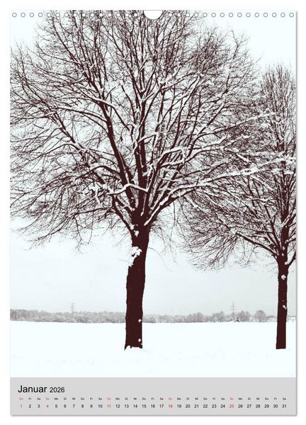 Produktbild: Natur monochrom Die besondere Wirkung (Wandkalender 2026 DIN A3 hoch), CALVENDO Monatskalender