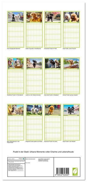 Produktbild: Familienplaner 2026 - Pudel in der Stadt. Urbane Momente voller Charme und Lebensfreude mit 5 Spalten (Wandkalender, 21 x 45 cm) CALVENDO