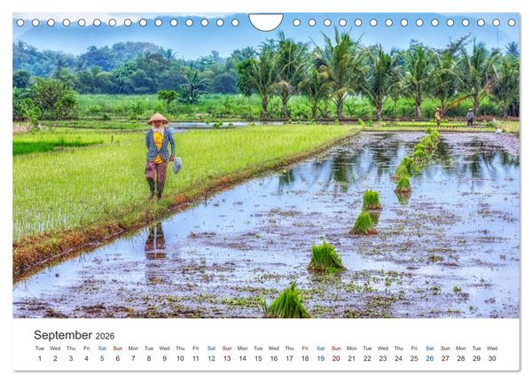 Produktbild: Java, Indonesian Island in the Ring of Fire (Wall Calendar 2026 DIN A4 landscape), CALVENDO 12 Month Wall Calendar