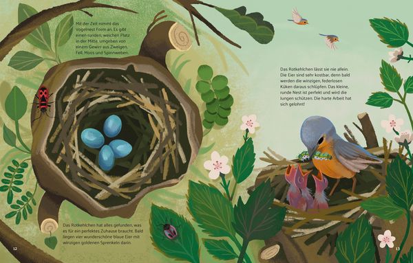 Produktbild: Kleine Geschichten aus der Natur