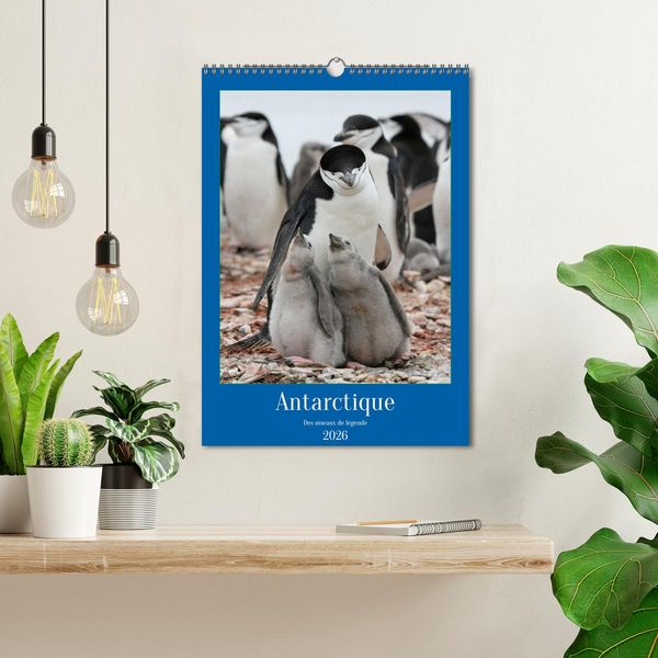 Produktbild: Antarctique des oiseaux de l&eacute;gende (Calendrier mural 2026 DIN A3 horizontal), CALVENDO calendrier mensuel