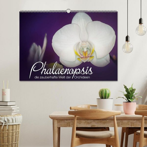 Produktbild: Phalaenopsis - die zauberhafte Welt der Orchideen (Wandkalender 2026 DIN A2 quer), CALVENDO Monatskalender