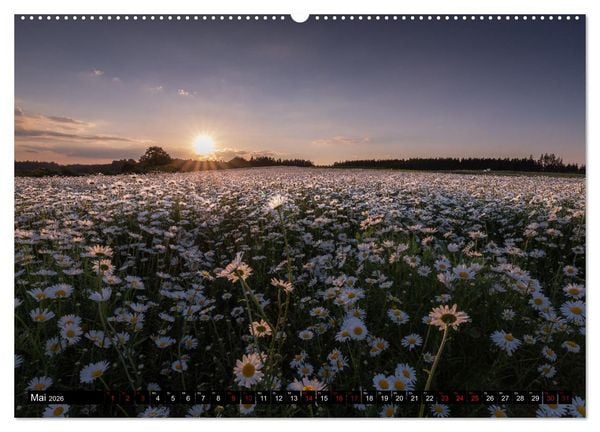 Produktbild: Wunderlandschaften (Wandkalender 2026 DIN A2 quer), CALVENDO Monatskalender