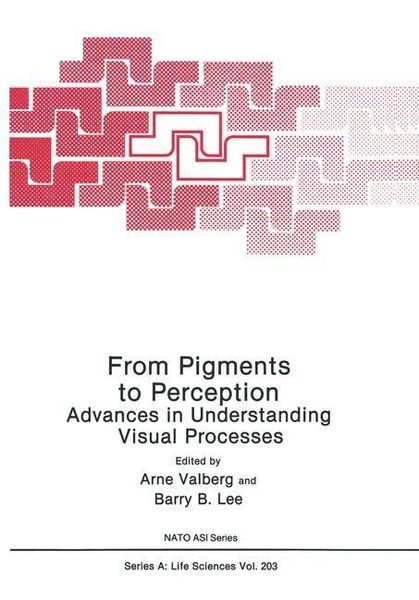 Produktbild: From Pigments to Perception