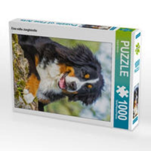 CALVENDO Puzzle Eine süße Junghündin 1000 Teile Lege-Größe 48 x 64 cm Foto-Puzzle Bild von Sigrid Starick