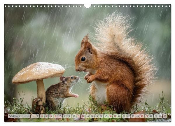 Produktbild: Hazelnuts Abenteuer (Wandkalender 2026 DIN A3 quer), CALVENDO Monatskalender
