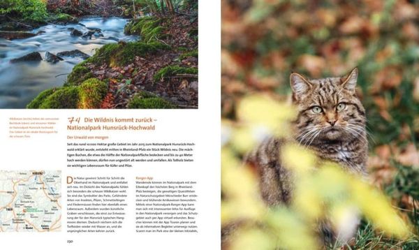 Produktbild: 100 Highlights Wildes Deutschland